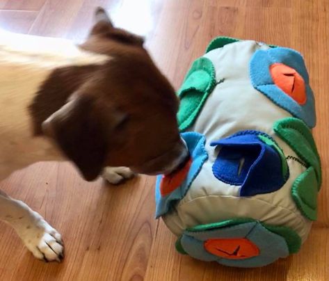 Snuffle Mat Sewing Pattern, Diy Dog Sniff Ball, Diy Dog Sniff Mat, Sniffle Ball Dog, Dog Daycare Design, Fleece Braided Dog Toy, Dog Treats Homemade Easy, Dogs Diy Projects, Diy Dog Toys