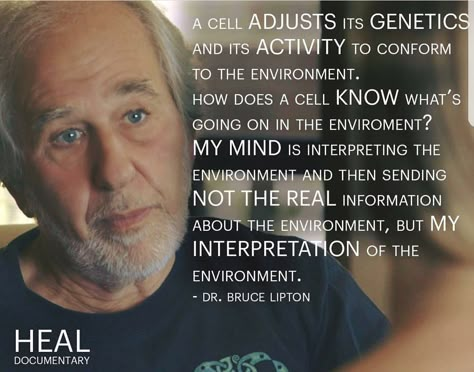 Your thoughts, perceptions and beliefs can actually change your genetic expression and your cellular activity. What information are you sending your body via your mindset? Bruce Lipton, Cosmic Consciousness, Medical Medium, Gratitude Affirmations, Spiritual Words, Be Mindful, Quantum Physics, Feelings And Emotions, Spiritual Quotes