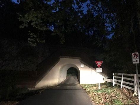 Bunnyman Bridge, Horror Stories For Kids, Story Site, Virginia Fall, Fact Or Fiction, Rabbit Costume, Bunny Man, Urban Legend, Fairfax County