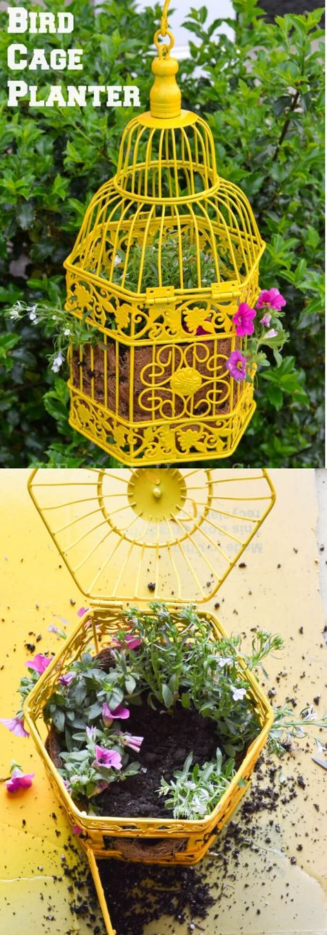 15+ Best Repurposed Bird Cage Planter Ideas for 2021 Cage Planter Ideas, Bird Cage Planter Ideas, Bird Cage Planter, Hanging Planters Outdoor, Birdcage Planter, Planters Outdoor, Hanging Plants Diy, Hanging Bird Cage, Garden Centerpiece