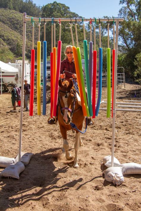 Obstacle Course Ideas For Horses, Trail Class Obstacles, Ranch Horse Trail Obstacles, Equine Obstacle Course Ideas, Trail Courses For Horses, Horse Training Obstacles Diy, Pool Noodle Horse Obstacles, Obstacle Course For Horses, Diy Horse Trail Course