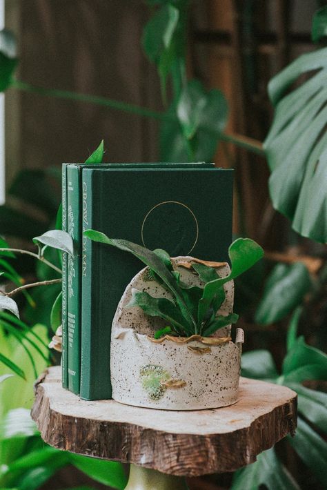 Birch Bark Planter Book Ends (for Houseplants) Bookself Decor 📚 SHOP Handmade Pottery - Nature Inspired Ceramic Art by Shii Kaina Pottery Book Ends, Clay Book Holder, Air Dry Clay Bookends, Clay Bookends, Ceramic Bookends, Ceramic Book Ends, Pottery Shop, Air Dry Clay Projects, Functional Pottery