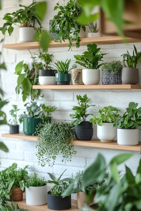 Want to bring the outdoors inside? These 10 easy tips will show you how to incorporate greenery into your home decor, adding fresh, natural beauty to any space. 🏡✨ #HomeDecorWithPlants #GreenLiving #Houseplants #NaturalHome #EcoFriendlyDecor Bring The Outdoors Inside, Eco Friendly Decor, Outdoors Inside, Creative Gardening, House Plants Decor, Simple Ideas, Natural Home, Air Quality, Green Living