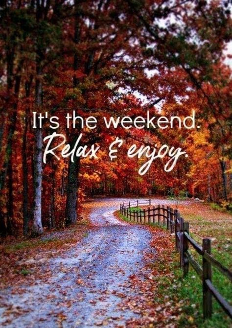 Weekend Greetings, Saturday Quotes, Weekend Quotes, Morning Quotes Images, Good Morning Inspiration, Autumn Weekend, Hello Weekend, Good Morning Beautiful Quotes, Morning Inspiration