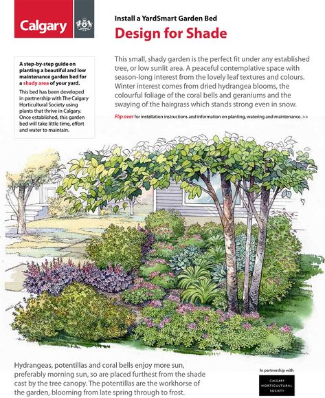 Deer Resistant Garden Plans, Front Entrance Garden, Tapestry Lawn, Modern Cottage Garden, Shade Landscape, Landscape Design Plan, Firefly Garden, Backyard Makeover Ideas, Backyard Planting