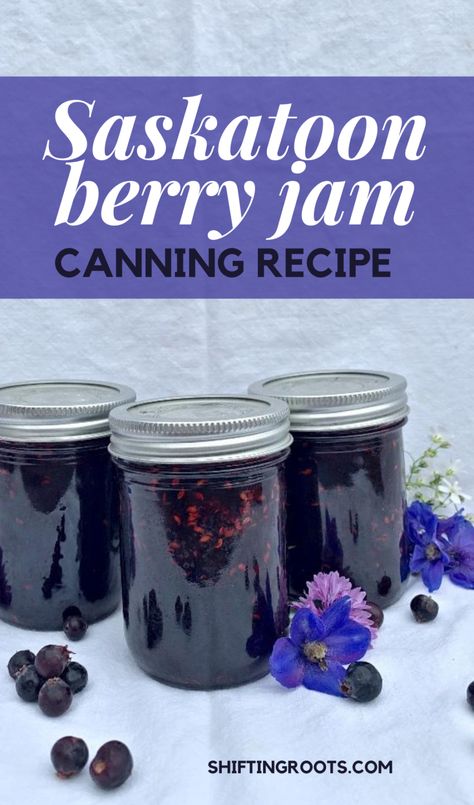 Saskatoon Berry Jam | SHIFTING ROOTS Service Berry Jam, Saskatoon Berry Jam Recipe, Saskatoon Jelly Recipe, Saskatoon Jam Recipe, Juneberry Recipes, Saskatoon Berry Jam, Saskatoon Jam, Saskatoon Recipes, Saskatoon Berry Recipe