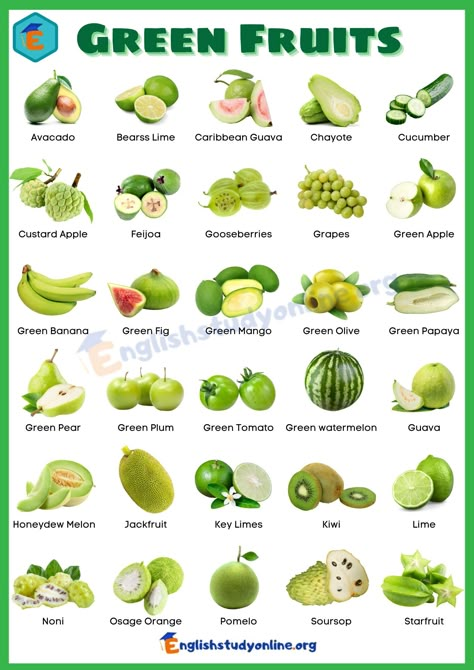 Meal Portions, Fruits Photography, List Of Veggies, Green Fruits And Vegetables, Fruits And Vegetables List, Vegetable Chart, Summer Alphabet, Vegetables List, Types Of Lettuce