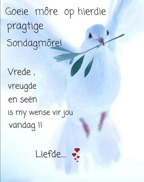 Goeie More Sondag Wense Afrikaans, Goeiemore Sondag Afrikaans, Goeie More Sondag, Sondag Wense Afrikaans, Sondag Boodskappies, Lilac Cottage, Good Morning Wishes Gif, Sunday Blessings, Angel Quotes