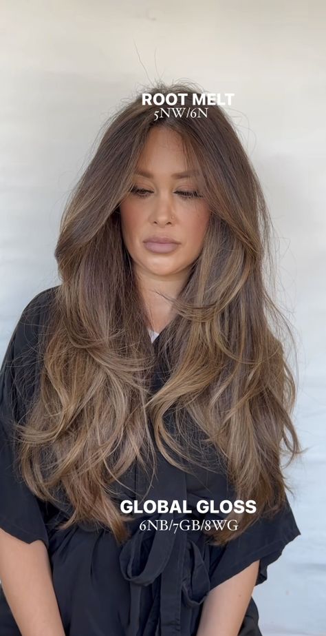 Light Brown Hair On Dark Brown Hair, Trendy Brunette Hair Color, Long Brown Hair With Dimension, Level 7 Shades Eq Formulas Brown, Medium Brown Dimensional Hair, Medium Brown Hair Green Eyes, Soft Babylights Brunette, 6 Hair Color Level, Long Hair Long Curtain Bangs