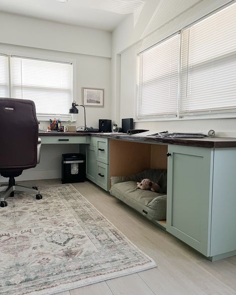 Do you have an office that meets all your needs? This is the ideal workspace for this client. It was designed to accommodate every aspect of his demanding remote job. Even his sweet companion got a spot 🐶 #workgoals #workfromhome #carolinanielsenhome #venicefl #sarasotaflorida #wellington #officesetup #productivityhacks #workspacesolutions Home Office Dog Room, Dog Office Space, Dog Room Office Combo, Office Dog Room, Office Dog, Pet Area, Dog Room, Dog Rooms, Sarasota Florida