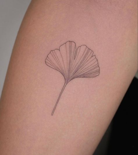 Fine Line Gingko Tattoo, Ginko Leaf Tattoos Meaning, Ginko Leaf Tattoo Minimalist, Ginko Leaf Tattoos Design, Ginko Biloba Tattoo, Ginko Leaves Tattoos, Ginko Leaf Design, Ginko Leaf Tattoo, Fine Line Leaf Tattoo