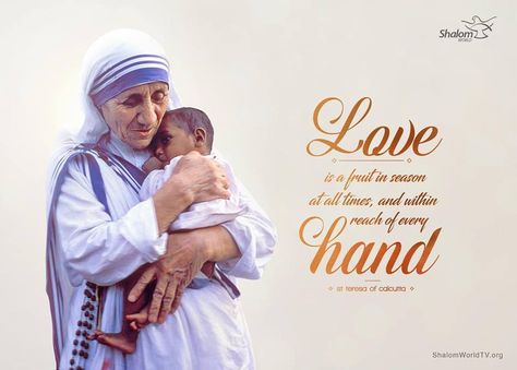 St.Mother Teresa Mother Teresa Hd Images, Mother Teresa Images, Mother Teresa Pictures, St Mother Teresa, Missionaries Of Charity, Saint Teresa Of Calcutta, New Images Hd, Mother Teresa Quotes, Soul Love Quotes