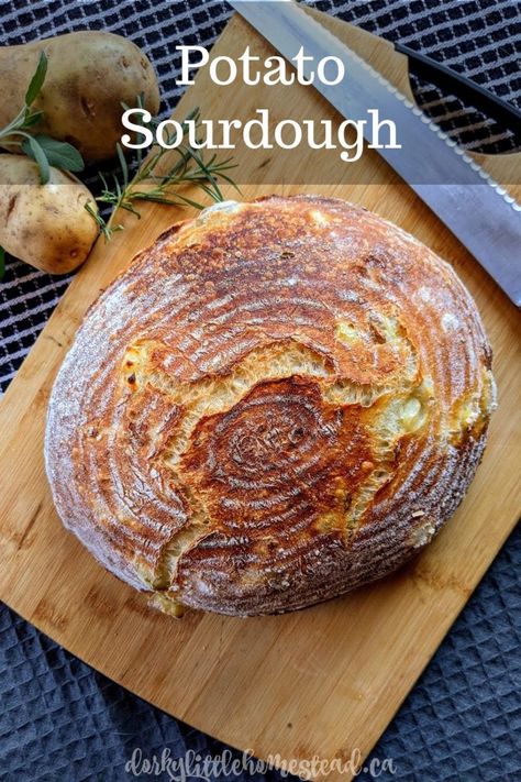 Potato Sourdough Bread - Potato Sourdough Bread, Rustic Loaf, Yeast Baking, Sourdough Breads, Baked Items, Sourdough Recipe, Starter Recipe, Bakery Items, Yeast Breads