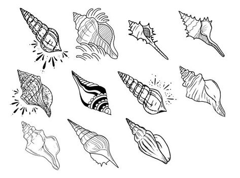 Conch Tattoo Shell, Conch Tattoo, Conch Shell Tattoo, Horse Conch Shell, Shell Tattoo, Shell Tattoos, Tattoo Vector, Conch Shell, File Format