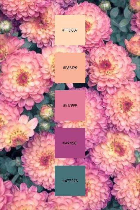 Pink Rose Color Palette, Hex Color Palette, Color Schemes Colour Palettes, Color Palette Pink, Color Palate, Color Palette Design, Wedding Color Palette, Hex Colors, Color Inspo