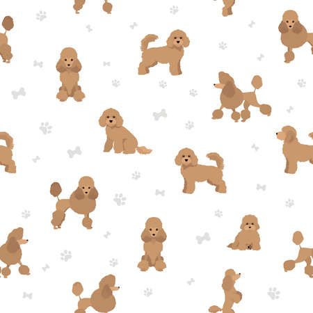 Poodle Wallpaper, Poodle Illustration, Miniature Poodle, Wallpaper Aesthetic, Color Set, First Birthdays, Miniatures, Clip Art, Birthday