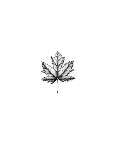 Canada Tattoo Ideas, Leaves Tattoo Design, Ranch Branding, Fall Tattoos, Blatt Tattoos, Fall Leaves Tattoo, Snoopy Tattoo, Sycamore Leaf, Autumn Tattoo