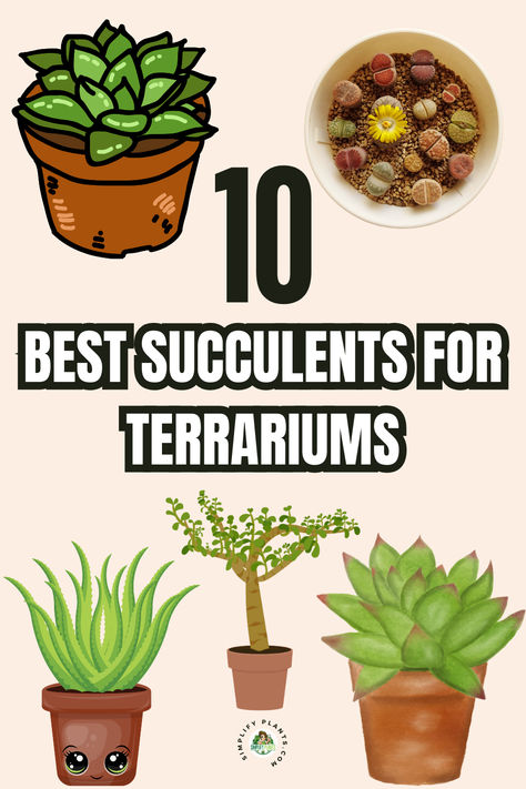 "Discover the 10 Best Succulents for Terrariums and elevate your indoor 
garden with stunning Succulent Terrarium Ideas! From vibrant 
Succulent Bowls to charming Mini Succulent Gardens, explore 
creative ways to incorporate Succulents in Glass containers. Get 
inspired by Orchid Terrariums and learn how to create a DIY Succulent 
Terrarium for your home. Perfect for Indoor Succulent Garden Ideas, 
these arrangements also shine in Moss Terrariums and unique Succulent 
Arrangements DIY!" Indoor Plant Terrarium, Succulent Terrarium Ideas Diy, Home Made Terrarium, Cactus Terrarium Ideas, Succulents In Glass Containers, Small Terrarium Ideas, Indoor Succulent Garden Ideas, Succulent Terrarium Ideas, Homemade Terrarium