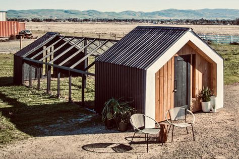 Osb Flooring, Roosting Bars, Front Door Modern, Windows Modern, Coop Run, Chicken Door, Animal Homes, Shiplap Siding, Walk In Chicken Coop