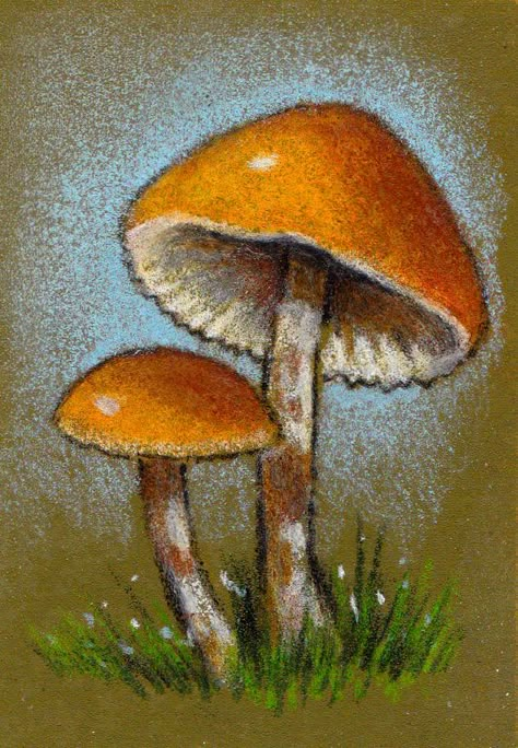 Mushrooms Drawing, Colored Pencil Artwork Ideas, Felting Inspiration, Pencil Inspiration, Soft Pastels Drawing, Mushroom Paint, Prismacolor Art, Mushroom Drawing, Colored Pencil Artwork