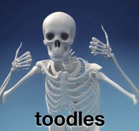 Skeleton Reaction Pics, Skeleton Mood Pics, Funny Skeleton Pfp, Skeleton Pics, Silly Skeleton, Skeleton Meme, Skeleton Memes, Skelator Memes Hilarious, Skeleton Sticker