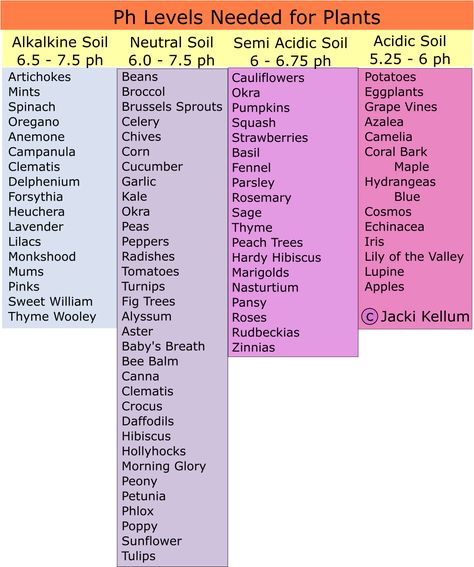 Artichoke Plant, Reduce Acidity, Ph Chart, Artichoke Plants, Acidic Soil, Ph Level, Ph Levels, Aquaponics System, Garden Types