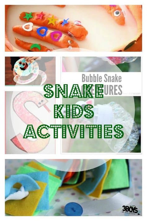 Snake Activities for Kids - Educational Games & Crafts Snake Games For Kids, Snake Activities, Curriculum Themes, Snake Party, Animal Activities For Kids, Fine Motor Development, Snake Game, Math Patterns, Motor Development