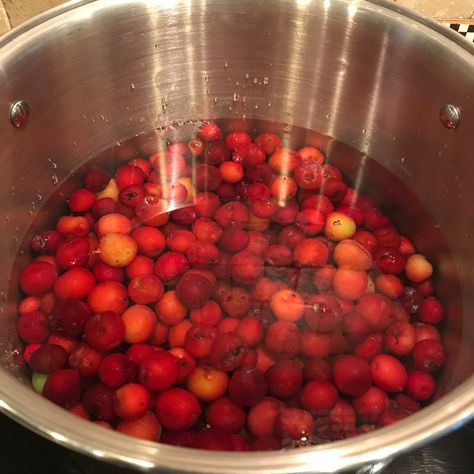 Wild Sand Plum Jelly - Acre Life Food Preservation How To Make Wild Plum Jelly, Sandhill Plum Jelly Recipe, Wild Plum Jelly Recipe Easy, Sandhill Plum Recipes, Sand Plum Jam Recipe, Sand Plum Jelly, Sand Plum Recipes, Plum Jelly Recipes For Canning, Sand Plum Jelly Recipe