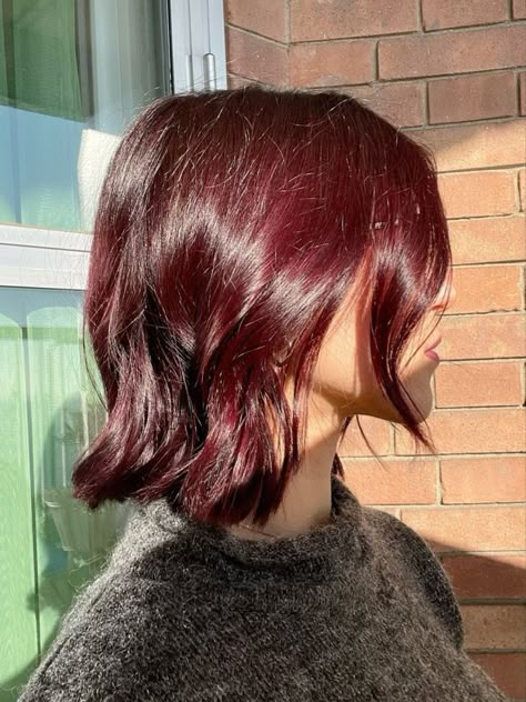 Cherry Red Hair Colors That Will Make You Shine Wine Red Bob Hair, Red Wine Short Hair, Plum Hair Short, Short Mahogany Hair, Cherry Hair Short, Dark Cherry Red Hair Short, Red On Dark Hair, Cherry Short Hair, Short Plum Hair