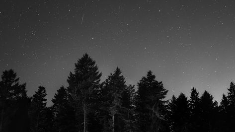 #starry #sky #night #dark #trees black and white monochrome photography starry night #forest #photography #monochrome #4K #wallpaper #hdwallpaper #desktop Dark Mode Wallpaper, Landscape Space, Dark Grey Wallpaper, Wallpaper Forest, 4k Wallpapers For Pc, Background Space, Night Wallpaper, Star Constellation, Dark Tree