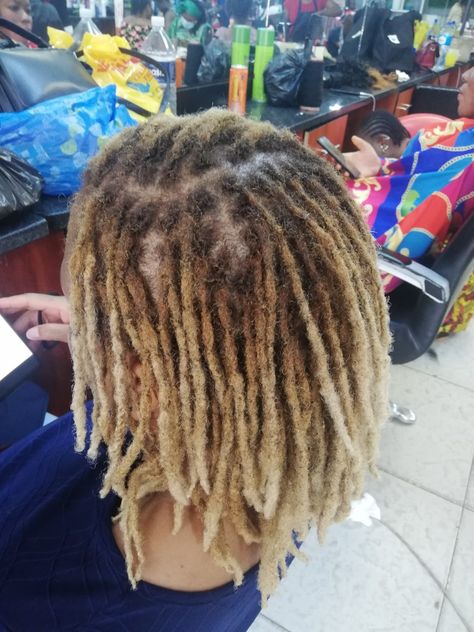 Ash Blonde Locs, Platinum Blonde Locs, Beach Locs, Ombré Locs, Coloured Locs, Loc Colors, Blonde Locs, Pretty Locs, Colored Locs