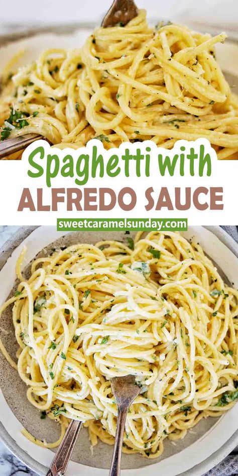 Spaghetti with alfredo sauce is a super quick and easy pasta recipe perfect any night of the week. Comfort food that the whole family will love this simple spaghetti takes only 15 minutes. @sweetcaramelsunday Spaghetti With Alfredo Sauce, Spaghetti With Alfredo, Hearty Food, Easy Pasta Recipe, Simple Spaghetti, Pasta Meals, Pasta Spaghetti, Country Recipes, Alfredo Sauce Recipe