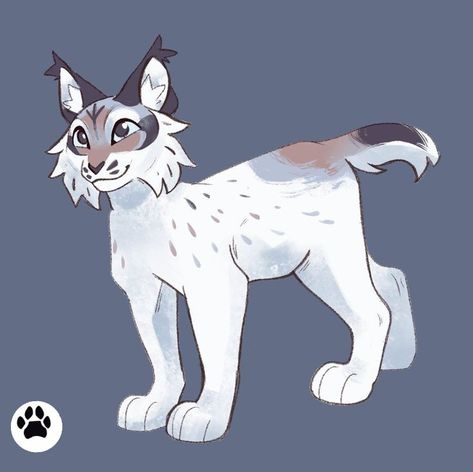 Sphynx Cat Character Design, Lynx Character Design, Lynx Cat Drawing, Lynx Fursona, Lynx Oc, Lynx Drawing, Mythical Creature Art, Cats Art Drawing, Cat Anatomy