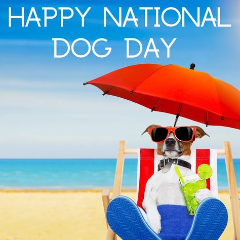 To all our beloved past present and future pups…you are angels sent from above you deserve every gift 🎁 this world has to offer! We love ❤️ and honor �🙌you today & Always…forever 💫grateful for you 💧🕊️🐾🥰😍our precious fur babies 😘 Happy National Dog Day, International Dog Day, Real Estate School, National Dog Day, National Pet Day, Hugs And Cuddles, National Puppy Day, Puppy Day, Emotional Support Dog