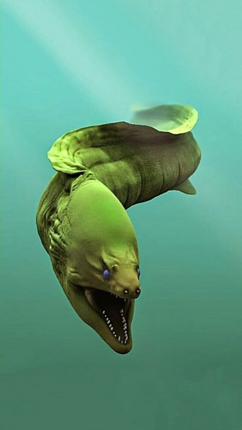 Moray Eel Tattoo, Eel Drawing, Cool Animals, Sea Snake, Moray Eel, Fauna Marina, Deep Sea Creatures, Beautiful Sea Creatures, Interesting Animals