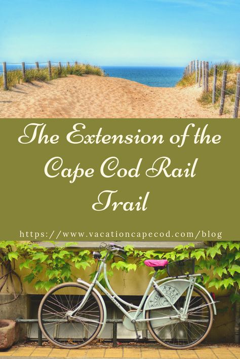 There's no better way to explore the Cape than by taking a bike along the Cape Cod Rail Trail. With bike rental shops all along the route, the Cape makes it easy to get out and explore! Cape Cod Rail Trail, Bike Rental Shop, Massachusetts Travel, Bike Rental, Dream Beach Houses, Dream Beach, Cruiser Bike, Bike Trails, Cape Cod