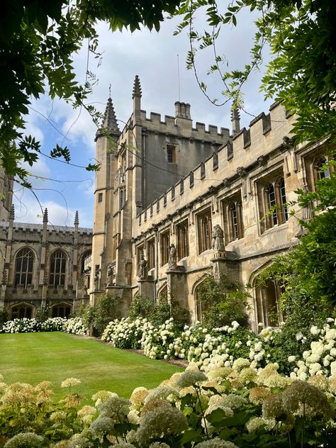 Oxford University Medicine, English College Aesthetic, Fancy School Exterior, Oxford University Medical School, Oxford University Acceptance, New College Oxford, Magdalen College Oxford, European University Aesthetic, Oxford Acceptance Letter