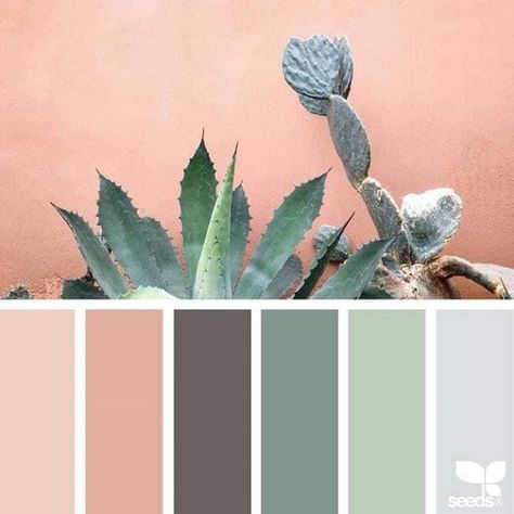 Pin by My dream on Paleta de colores | Decor color palette, Color schemes colour palettes, Decor color schemes Apartment Color Schemes, Succulent Design, Decor Color Palette, Decor Color Schemes, Color Schemes Colour Palettes, Grey Color Palette, Room Paint Colors, Trendy Living Rooms, Room Color Schemes