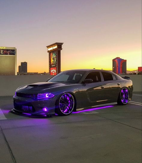 Dodge Charger Mods, Purple Dodge Charger, Hell Cat Charger, Purple Hellcat, Jeep Doodle, Hell Cat Car, Car Trip Essentials, Hellcat Car, Black Dodge Charger