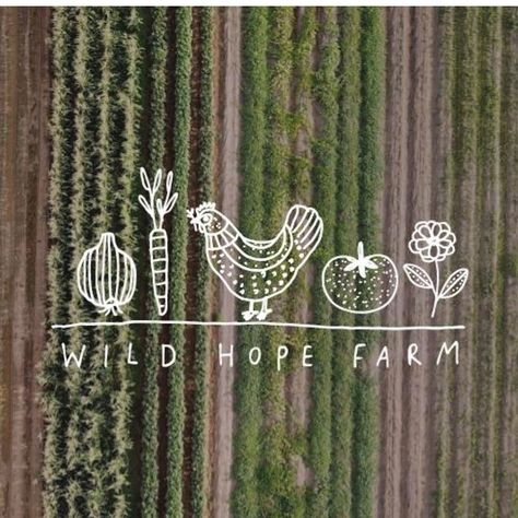 - #logo #logodesign #elegantlogo Symbol Website, Homestead Logo, Template Character, Cute Line Art, Farm Branding, Farm Illustration, Nature Silhouette, Livestock Branding, Fashion Forest