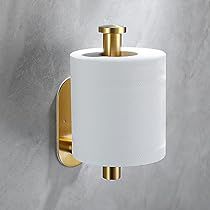 Neutral Bathroom Decor, Brass Toilet, Bathroom Toilet Paper Holders, Neutral Bathroom, Toilet Tissue Holder, Limestone Wall, Toilet Tissue, Rv Remodel, Gold Bathroom