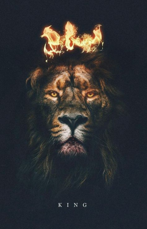 Husband Goals, Lion Of Judah Jesus, Lion King Pictures, Anime Rapper, Crown Art, Lion And Lamb, Cool Chest Tattoos, Lion Wallpaper, Cute Wallpapers Quotes