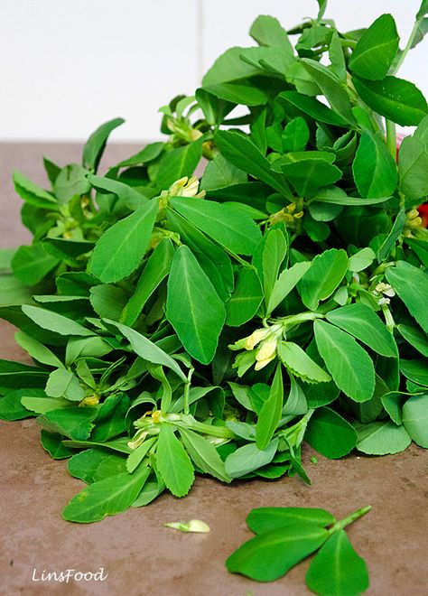 Methi leaves or Fenugreek leaves (Shanbalileh in Farsi), are an essential ingredient in Middle Eastern as well as Indian and Pakistani cooking. Fresh leaves are always preferable in the former, while in the latter 2, the dried version is used as often, and is known as kasuri methi. Pakistani Cooking, Fenugreek Benefits, Kasuri Methi, Persian Recipes, Health Fitness Food, Persian Cuisine, Drumstick Recipes, Fenugreek Leaves, Super Foods