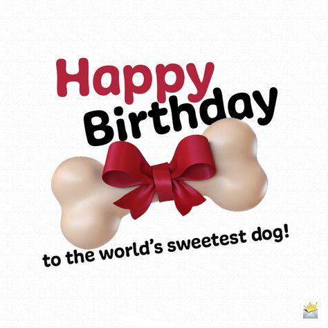 Dog Birthday Quotes, Dog Birthday Wishes, Happy Birthday Puppy, Pet Advertising, Happy Birthday Icons, Cute Birthday Wishes, Funny Happy Birthday Wishes, Happy Birthday Dog, Birthday Icon