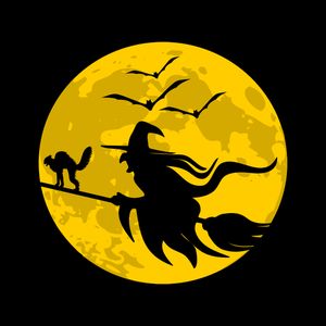 Witch Flying On Broom Full Moon, Witch Flying On Broom, Halloween Flying Witch, Witches Broomsticks, Witch Flying, Halloween Applique, Witch Silhouette, Pagan Gods, Flying Witch