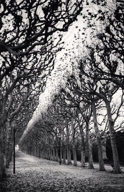 Michael Kenna, Photo Noir, Artistic Pictures, Fine Photography, Black And White Landscape, Contemporary Photographers, Landscape Features, London Art, Black And White Photographs