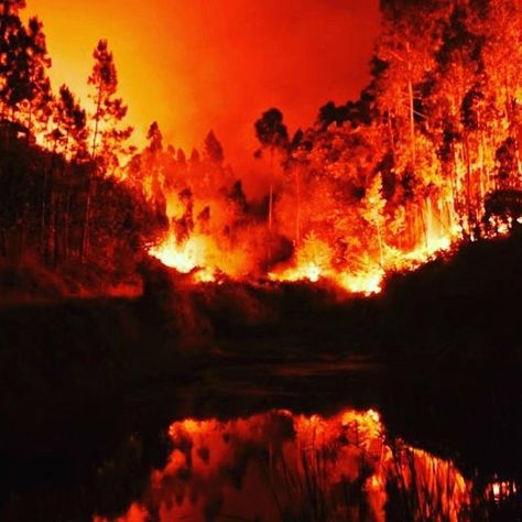 The Fires in Portugal and Spain have raged once again wreaking havoc and taking many lives! Let us pray for the... https://t.co/KqUVBSNWNM Central Portugal, Wild Fire, The Weather Channel, Forest Fire, Spain And Portugal, The Fire, Orange County, Louisiana, Rome