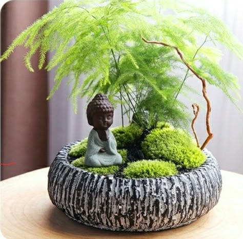 Takken Decor, Fairy Garden Pots, Mini Zen Garden, Buddha Garden, Zen Garden Design, Succulent Garden Design, Succulent Garden Diy, Dish Garden, Moss Garden