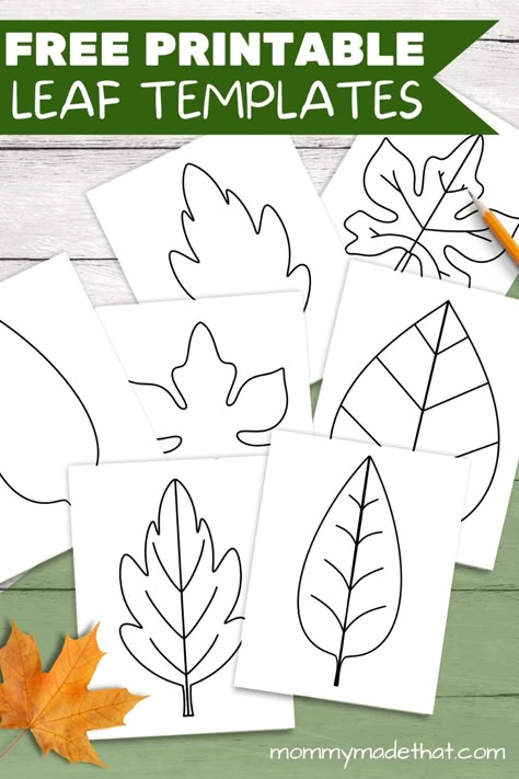 Leave Printables Leaf Template, Leaf Playdough Mats, Pre K Leaf Activities, My Autumn Leaf Printable, Leaf Cutout Template Free Printable, Fall Leaf Printable, Leaf Outlines Free Printable, Pumpkin Leaf Template Free Printable, Leaf Patterns Printable Preschool