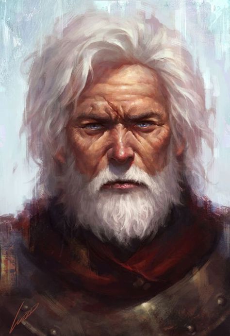 Man With White Hair, Old Warrior, Heroic Fantasy, Fantasy Portraits, Male Character, Fantasy Male, Arte Fantasy, Fantasy Rpg, 판타지 아트